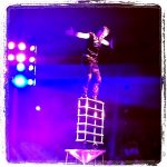 Har jag sagt att jag gillar cirkus?