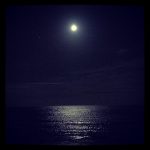 Hundpromenad och fullmåne. Fin kombination.