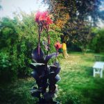 En av många favoritväxter.