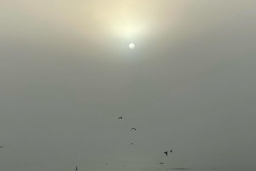 Det är något visst med dimma. Bilden från en morgon tidigare i veckan.